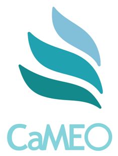 Projekt CaMEO Mobilność zawodowa starszych pracowników w Europie